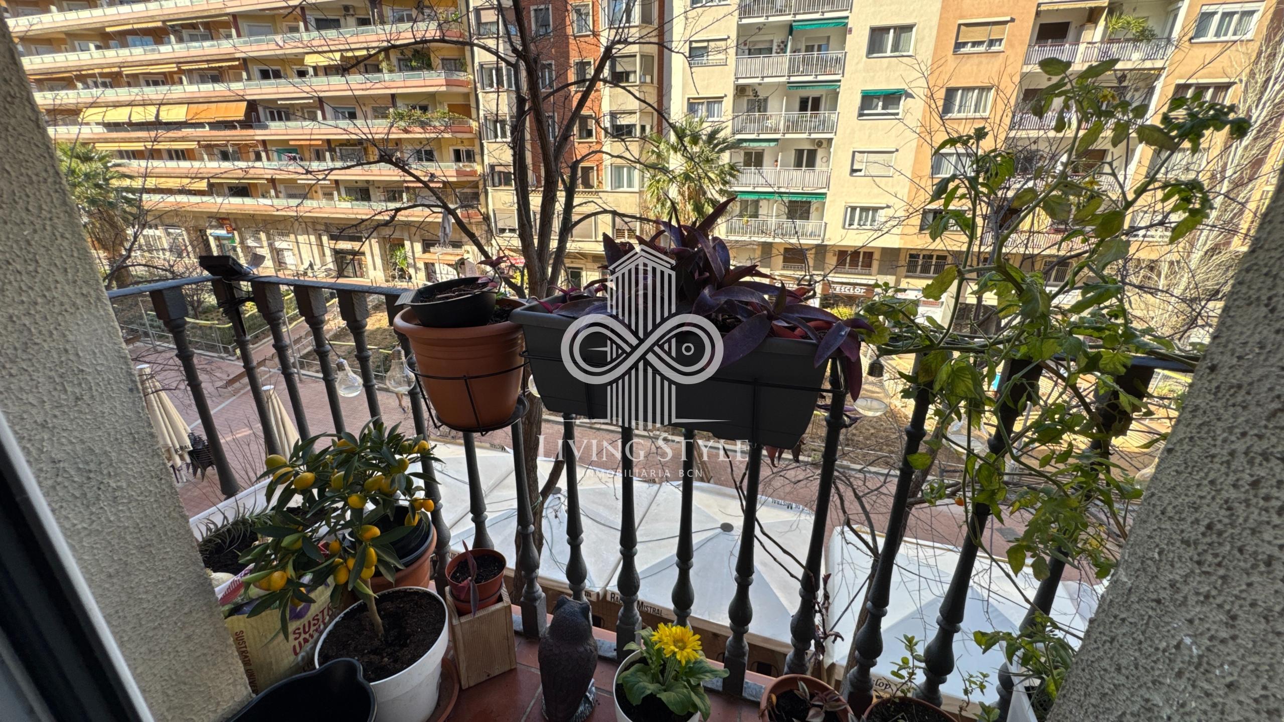 DJI_20260218_161303_825